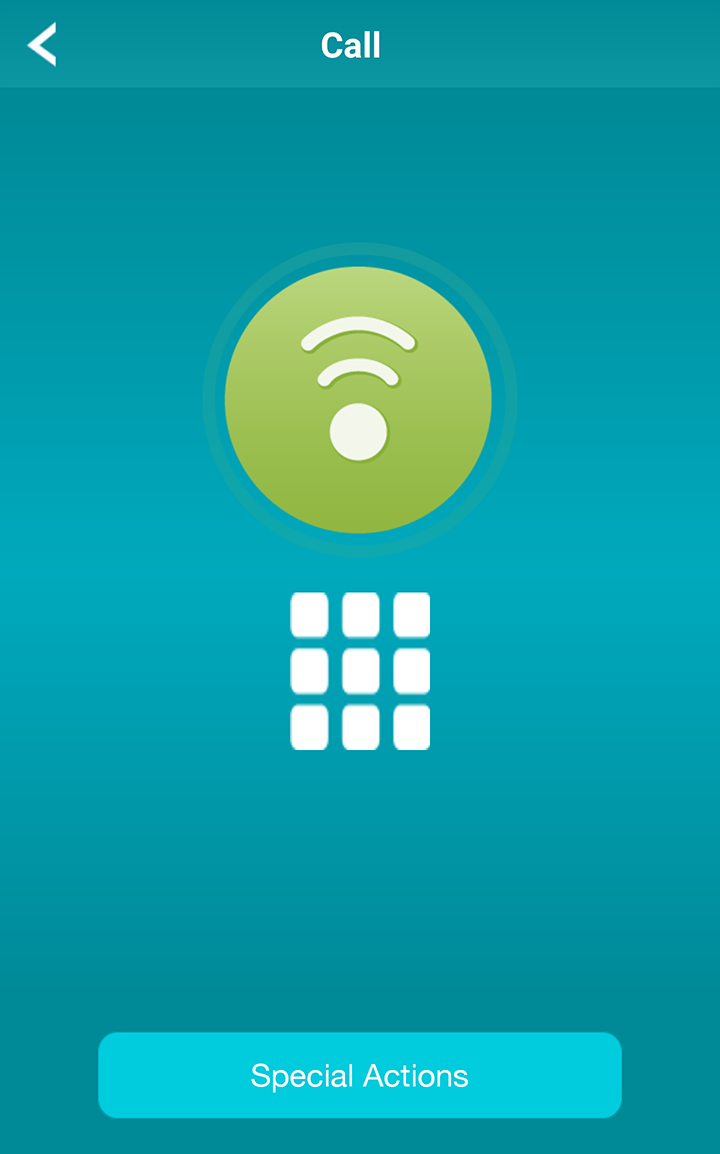 About the Call Screen