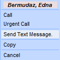 Send text message